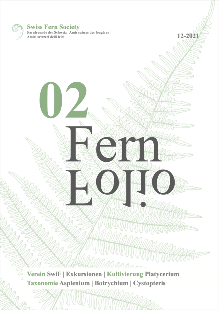 Fern Folio 02